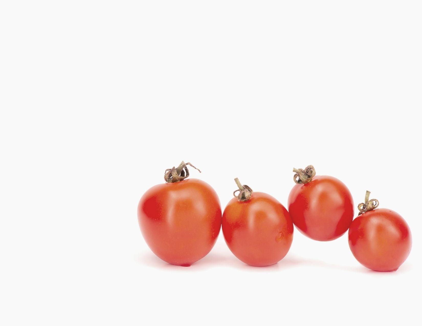 Tomato Seed Virgin Oil Organic