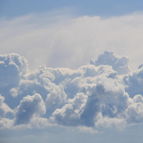 What is an Antioxidant in Skincare? - LILIXIR - SKINCARE SCIENCE