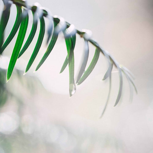 Top 7 Skincare Trends to Transform Your 2025 Routine