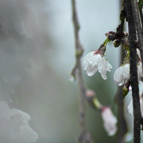 4 tips for a cold season skincare routine - LILIXIR - BEAUTY TIPS