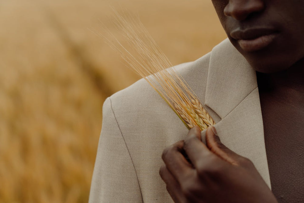 Person holding a strand of wheat against a blurred natural background. Skin Longevity and Epigenetics: How Lifestyle Shapes Cellular Beauty