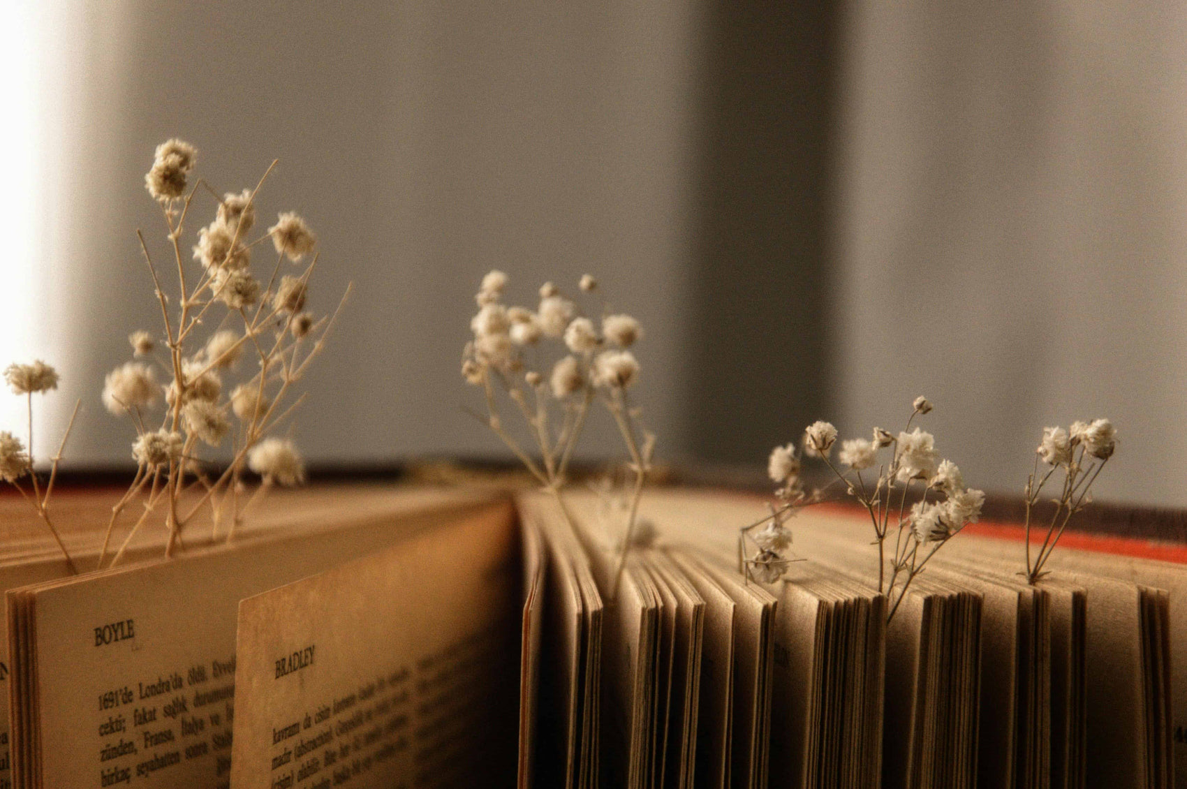 Dried flowers on an open book with a blurred background