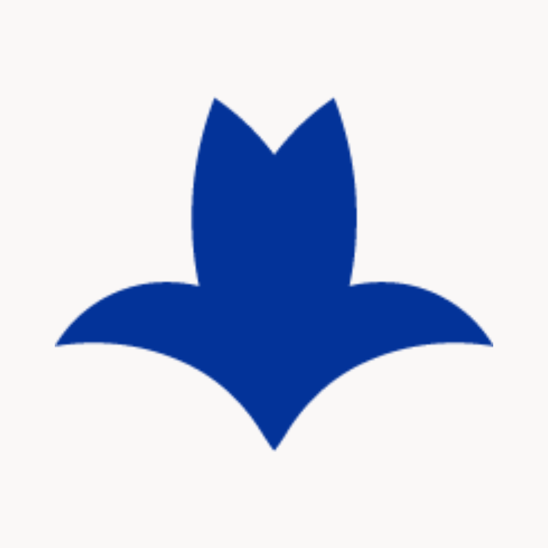 lilixir-icon-made-in-qc