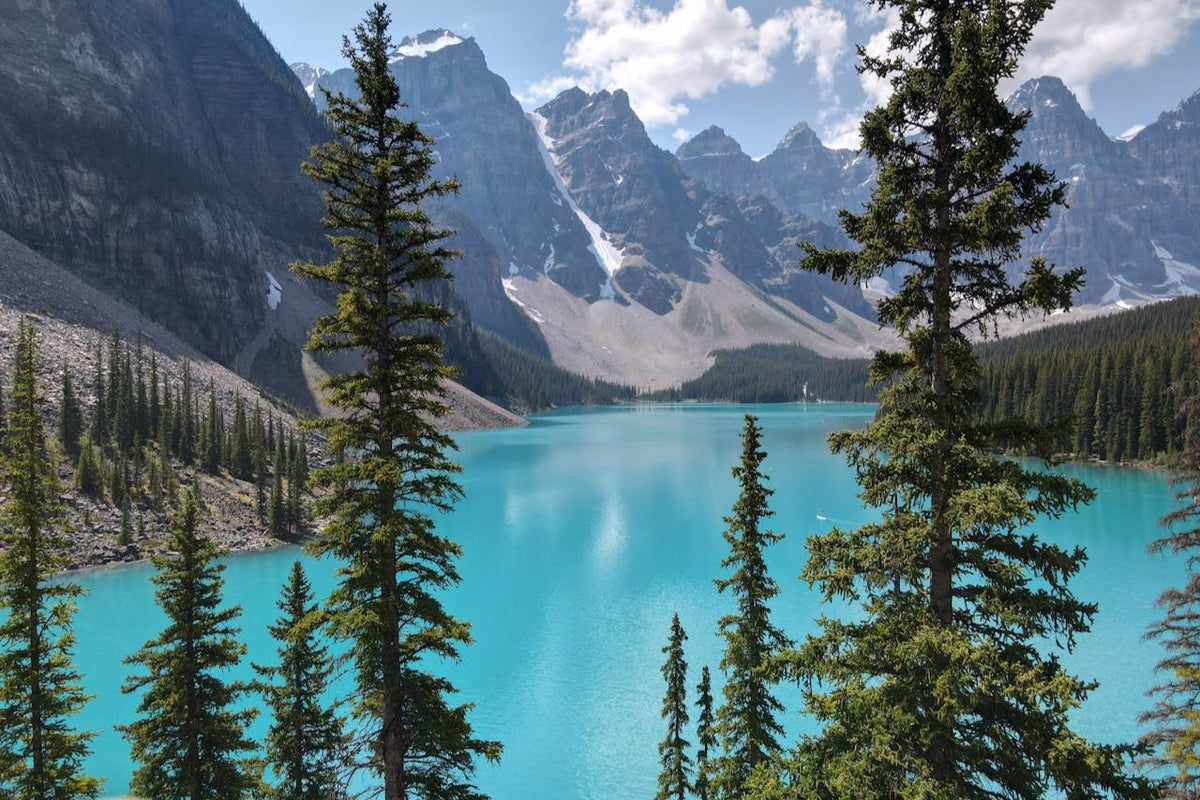 Turquoise lake surrounded by mountains and trees
